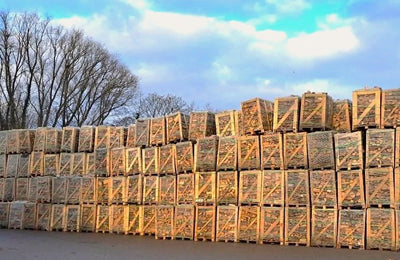 Brennholz Laubholz Mischholz 120 Kg trocken Kaminholz ofenfertig Holz 26-33 cm