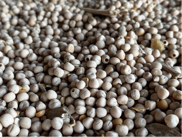 10 kg Erbsen, Futtererbsen