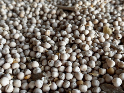 5 kg Erbsen, Futtererbsen