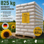 Gestreifte Sonnenblumenkerne im Papiersack 825kg Deutschland Vogelfutter Regional