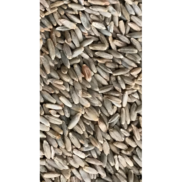 25 kg Brotroggen, Roggenmehl Regional Körner,Futterroggen,  Zusatzfutter Geflügelfutter Taubenfutter