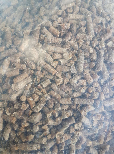 Terragon Hornpellets 25kg - Biodünger Gartendünger Rasendünger Blumendünger