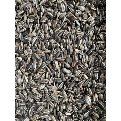 Sonnenblumenkerne gestreifte, Vogelfutter, 5 kg aus Deutschland