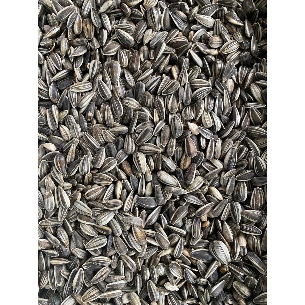 Sonnenblumenkerne gestreifte, Vogelfutter, 20 kg im Papiersack aus Deutschland