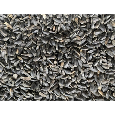 Sonnenblumenkerne schwarze 5 kg Streufutter Fettfutter aus der Layenmühle