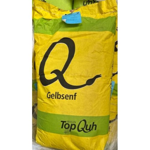 Gelbsenf Gründüngung 2 kg frische Saat für ca. 9000m² Bodenverbesserung Z-Saat!