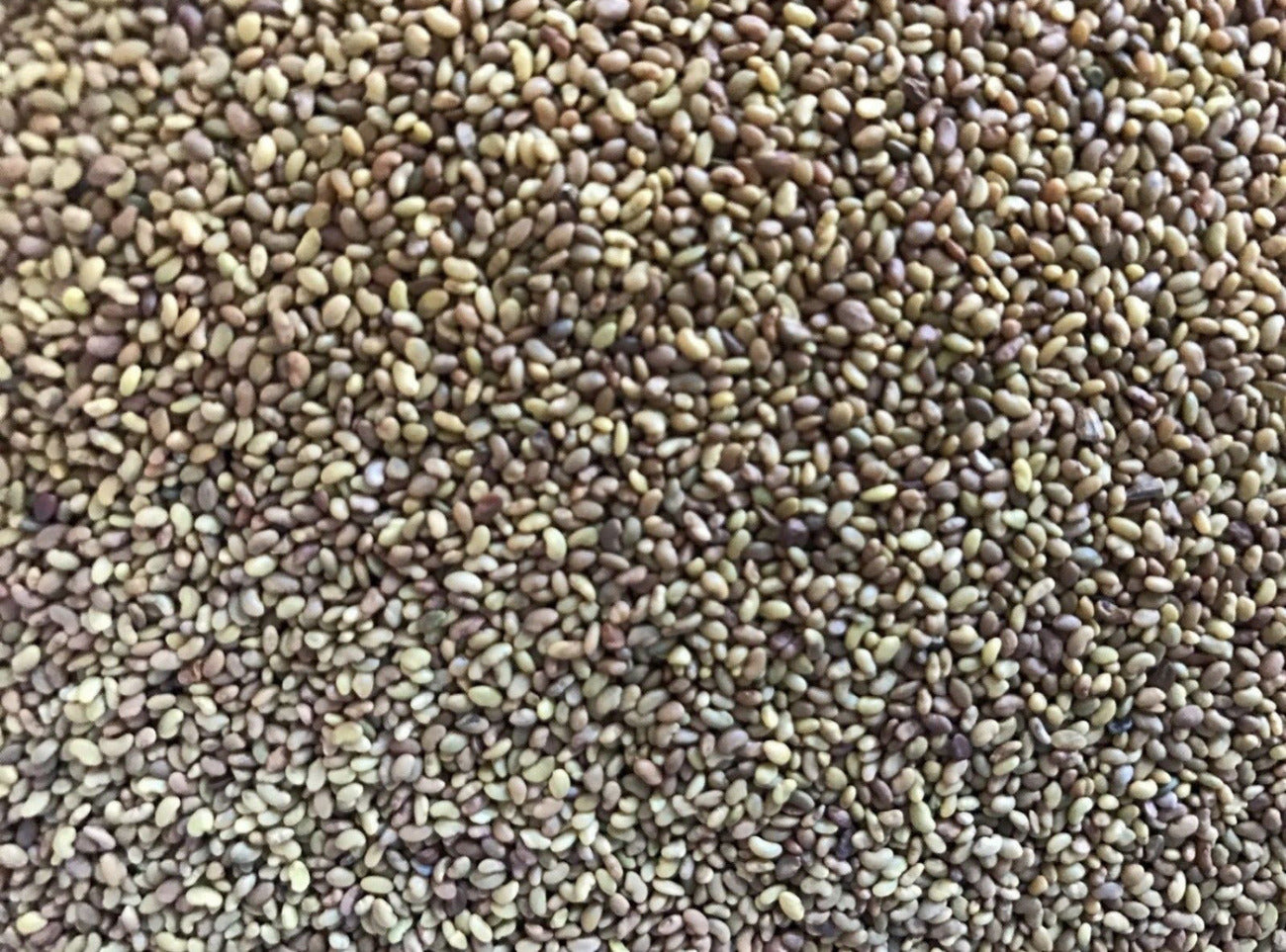 compo npk Concime Universale Oro 4 Kg Compo Felice Natura