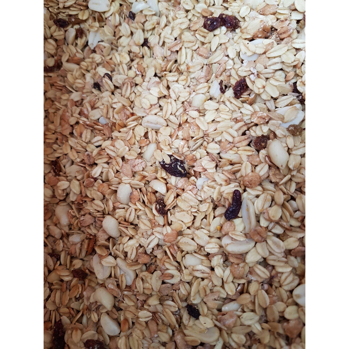 Elles Premium Winterfettfutter 25 Kg