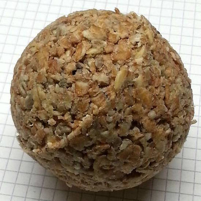 Premium Paket: Sonnenblumenkerne (gestreift) 25 kg und 48 St. Rili Meisenknödel